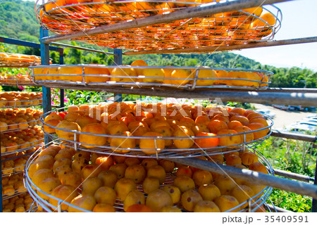 食べ物 食物 フード 35409591