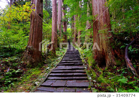 出羽神社参道 出羽神社参道 35409774