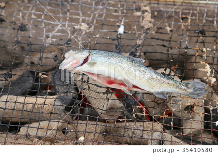 魚の網焼き 魚の網焼き 35410580