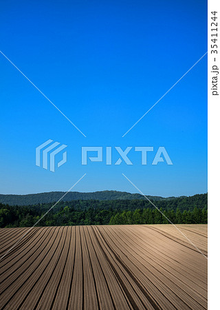 丘の風景　畑　畝　南富良野 35411244