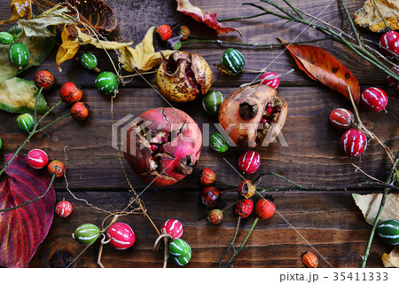 秋の木の実 35411333