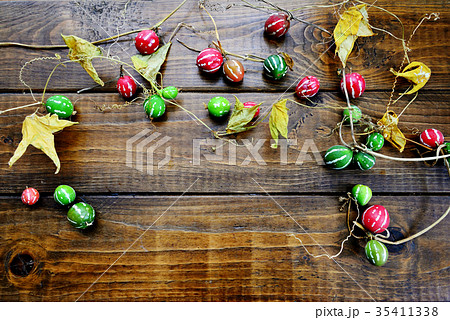 秋の木の実 35411338