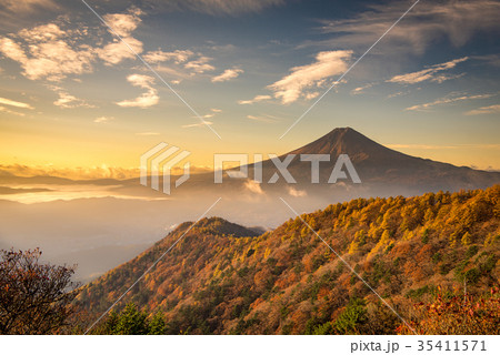 紅葉の三つ峠と富士山 早朝 35411571