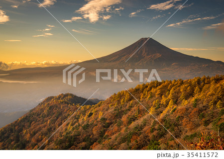 紅葉の三つ峠と富士山 早朝 紅葉の三つ峠と富士山 早朝 35411572