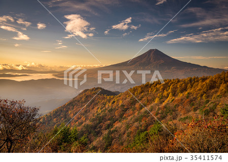紅葉の三つ峠と富士山 早朝 35411574