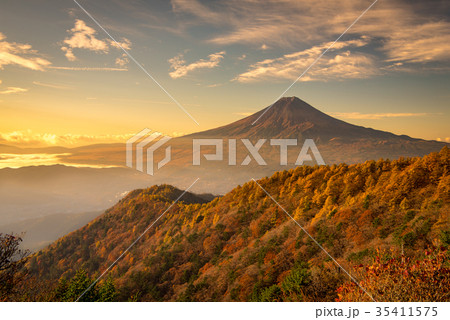 紅葉の三つ峠と富士山 早朝 紅葉の三つ峠と富士山 早朝 35411575