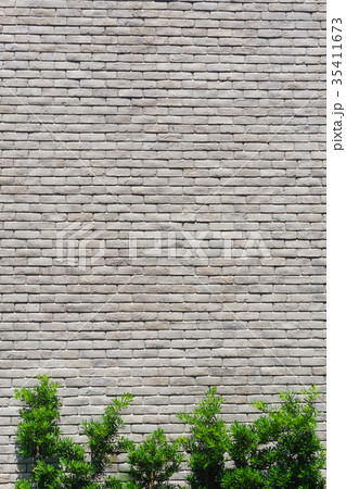 White Marble brick wall background and green tree 35411673