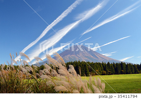 ススキと富士 35411794