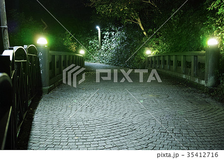 江の島 下道のみどりばしの夜景 江の島 下道のみどりばしの夜景 35412716