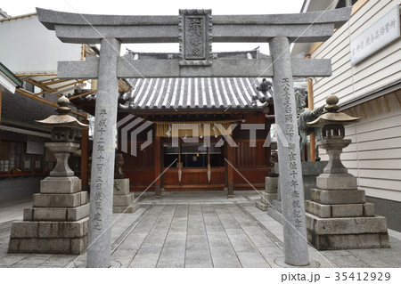 若八幡宮 若八幡宮 35412929