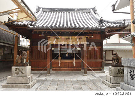 若八幡宮の拝殿 若八幡宮の拝殿 35412933