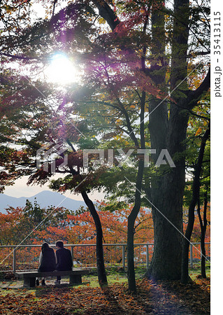 秋 紅葉 青春 若い二人 風景写真 秋 紅葉 青春 若い二人 風景写真 35413115
