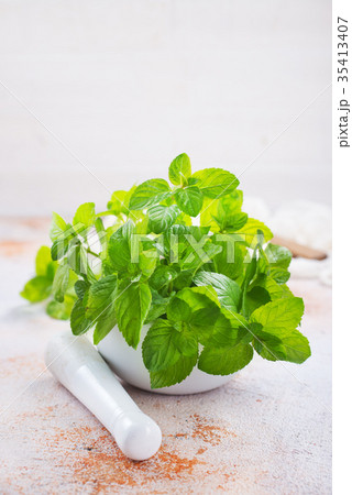 fresh mint leaf 35413407