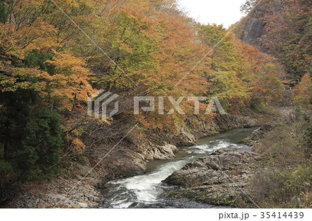 二口渓谷付近 風景 二口渓谷付近 風景 35414439