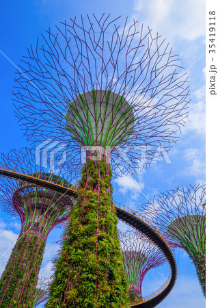 Gardens by the bay at Singapore 35419118