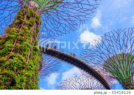 Gardens by the bay at Singapore 35419119