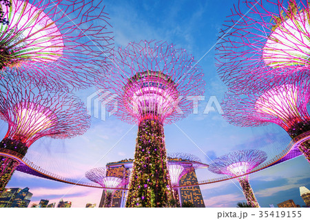 Gardens by the bay at twilight, Singapore Gardens by the bay at twilight, Singapore 35419155