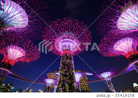 Gardens by the bay with light at night, Singapore 35419158