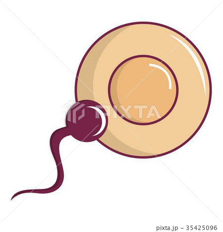Human fertilization icon, cartoon style Human fertilization icon, cartoon style 35425096