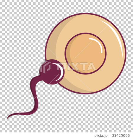 Human fertilization icon, cartoon style Human fertilization icon, cartoon style 35425096