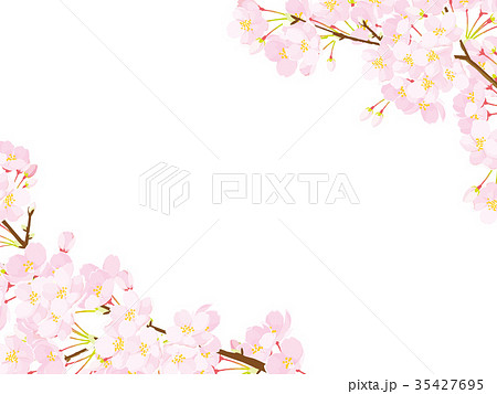 桜 フレームのイラスト素材