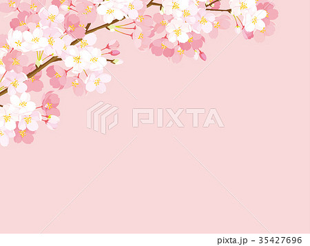 桜 背景イラストのイラスト素材