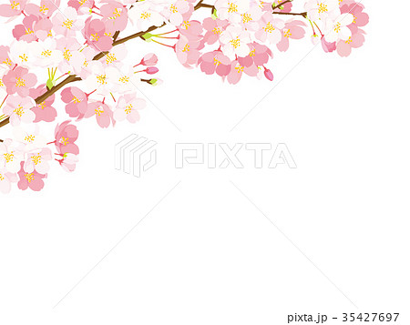 桜 背景イラストのイラスト素材 35427697 Pixta