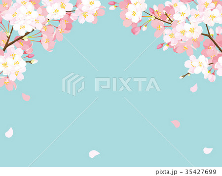 桜 背景イラストのイラスト素材 35427699 Pixta