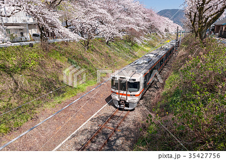 山北町(4月　桜　山北駅) 35427756