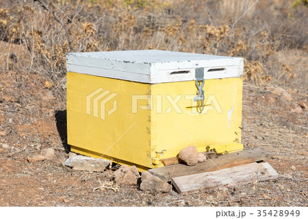 Beehive with bees in Greece 35428949