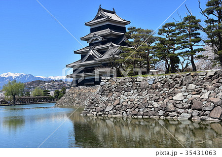 春の松本城と桜 快晴の青空 アルプスの山々を望む絶景 春の松本城と桜 快晴の青空 アルプスの山々を望む絶景 35431063