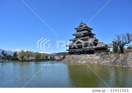 春の松本城と桜　快晴の青空　アルプスの山々を望む絶景 35431503