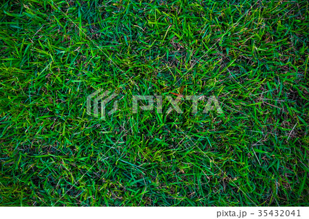 Empty green grass background Empty green grass background 35432041