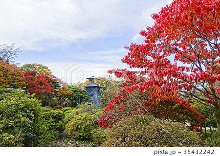 秋の沼田城址公園 秋の沼田城址公園 35432242