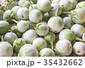 Closeup of eggplants or solanum laciniatum 35432662