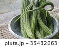Angled Loofah Sponge gourd 35432663