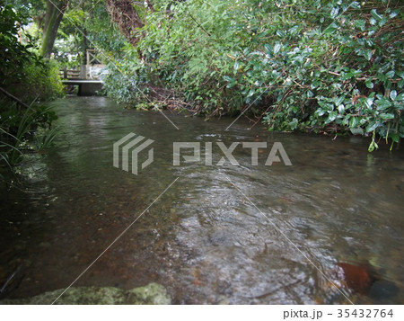 平成の名水百選　落合川と南沢湧水群　南沢緑地保全地区 35432764