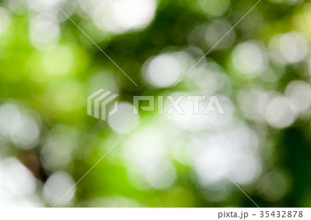 Abstract blur fresh green tree natural background 35432878