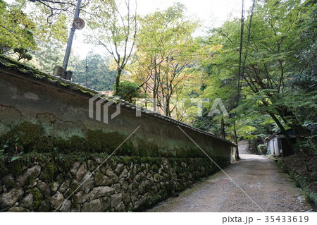 兵庫県　書写山　圓教寺　秋 35433619