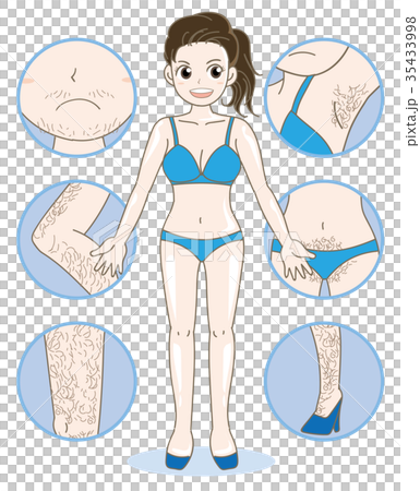 Este · Female whole body hair removal · each part 35433998