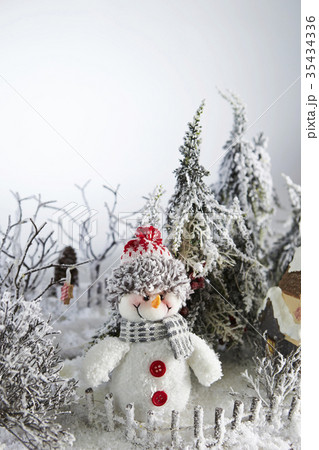 クリスマスのディスプレイ 35434336