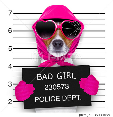 mugshot lady dog 35434659