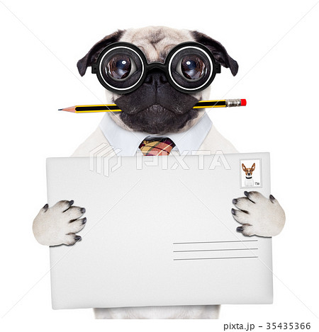 mail delivery post dog 35435366