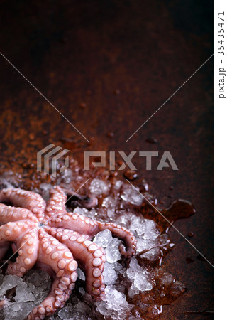 Fresh raw octopus on ice, brown dark background Fresh raw octopus on ice, brown dark background 35435471