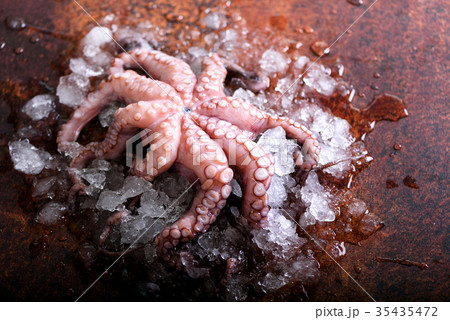 Fresh raw octopus on ice, brown dark background Fresh raw octopus on ice, brown dark background 35435472