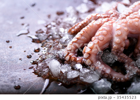 Fresh raw octopus on ice, brown dark background 35435523
