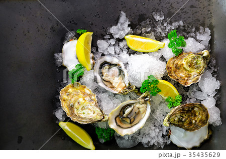 Fresh opened oysters, lemon, herbs, ice on dark 35435629
