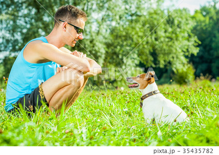 dog and owner training dog and owner training 35435782