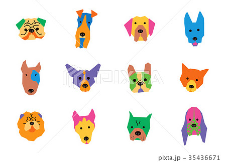 犬種カラー横 35436671