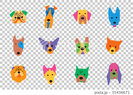 犬種カラー横 35436671
